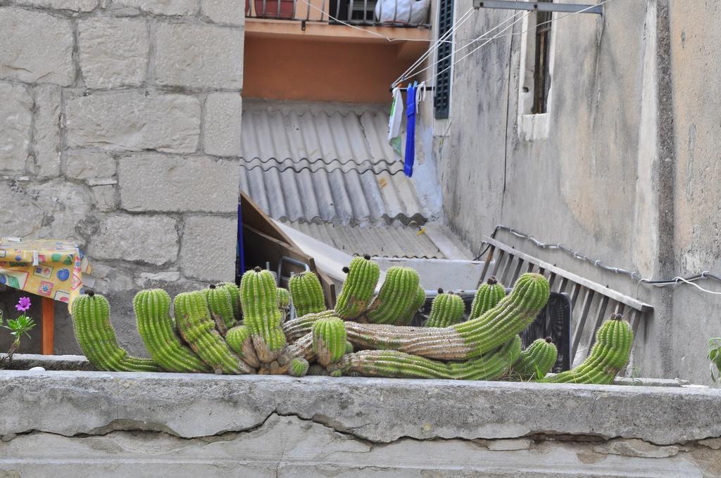 Villa Stagnja Split Rom bilde