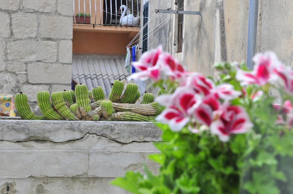 Villa Stagnja Split Rom bilde