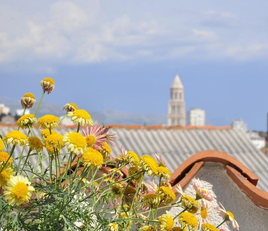 Villa Stagnja Split Rom bilde